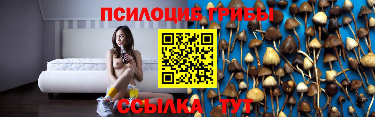 Нижний Тагил  Галлюциногенные грибы мицелий  Вход с VPN  Псилоцибиновые грибы мицелий 